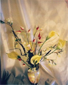 6-26-2010 4;17;44 PM