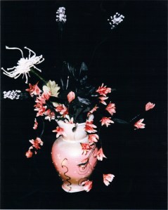 6-26-2010 8;12;26 PM